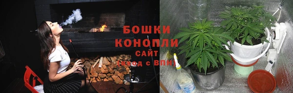 прущие грибы Куйбышев