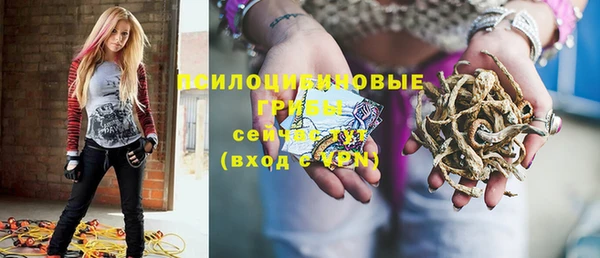 прущие грибы Куйбышев