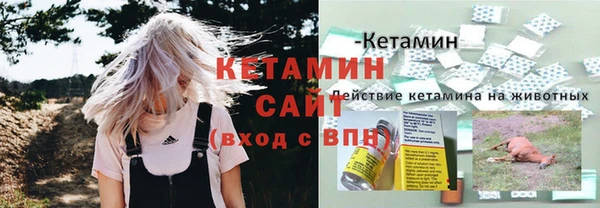 твердый Лагань