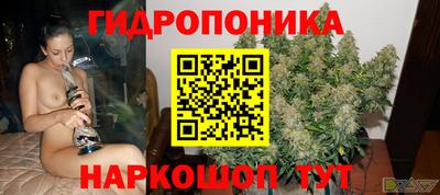 прущие грибы Берёзовский