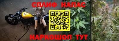 прущие грибы Берёзовский