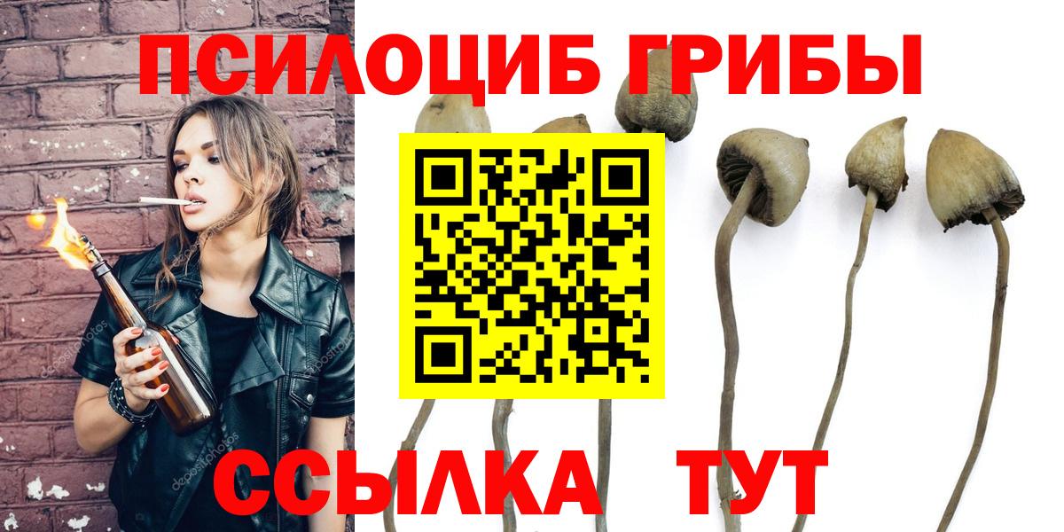 Псилоцибиновые грибы Psilocybe  Вход с VPN  Химки 